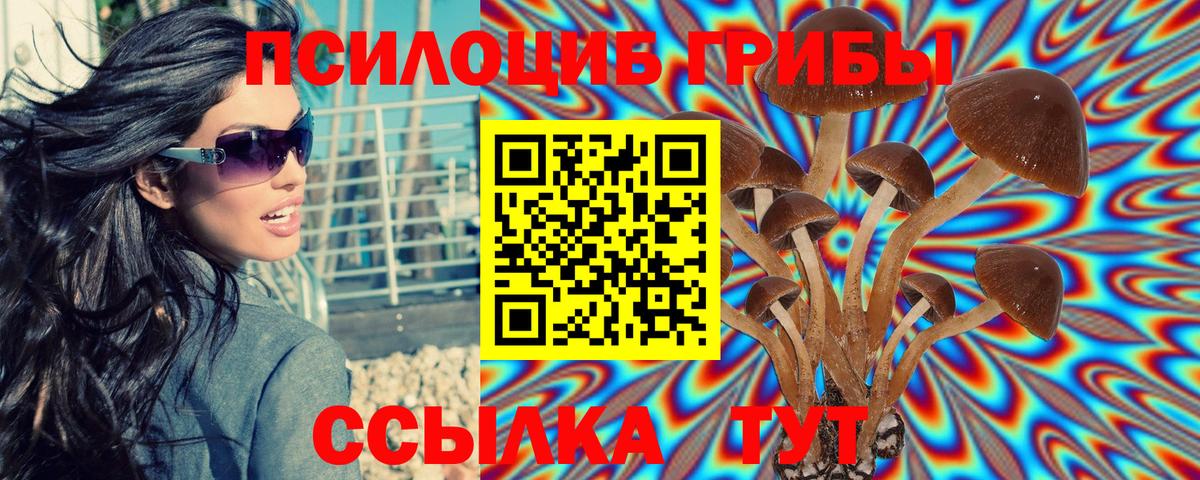 Галлюциногенные грибы Psilocybine cubensis Донской